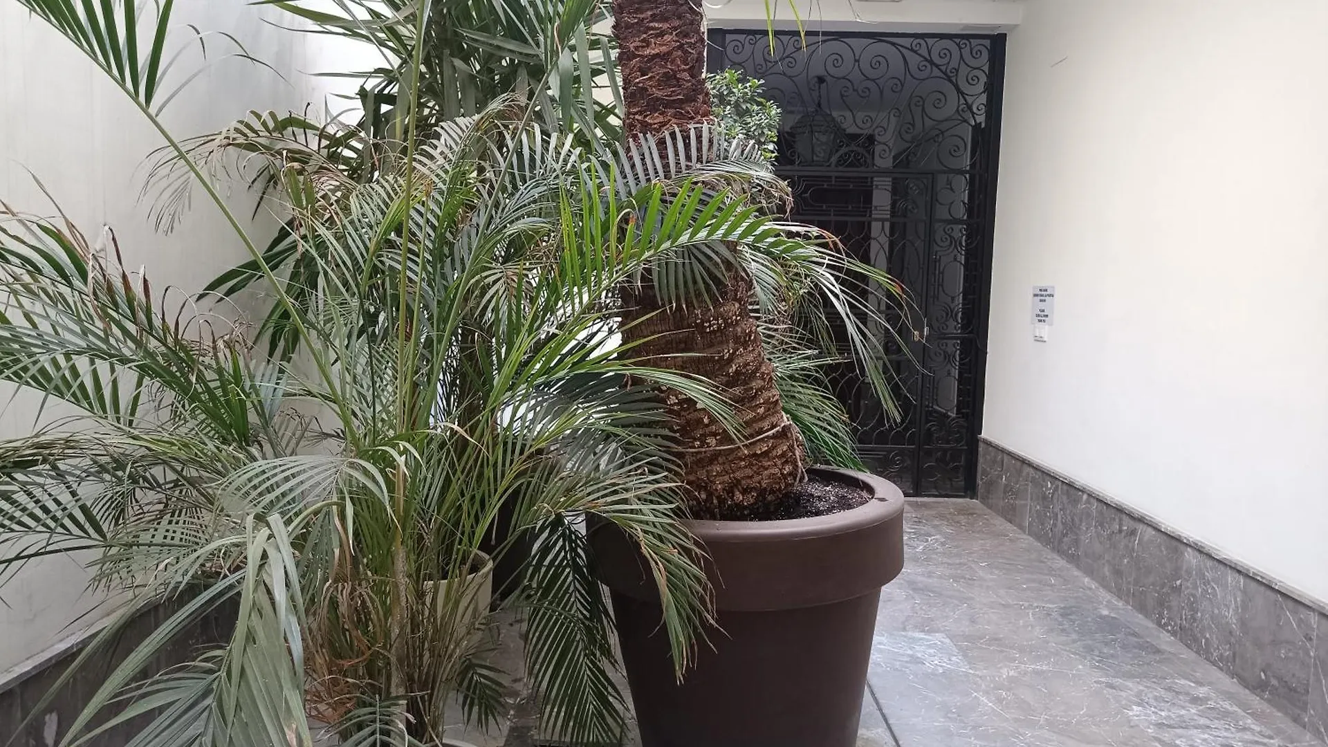 Apartamentos Luxury Puente De Triana Seville Apartment